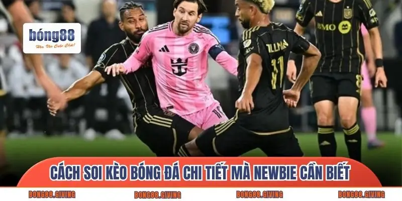 Cách soi kèo bóng đá chi tiết mà newbie cần biết