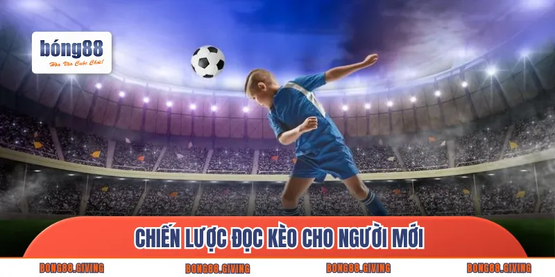 Chiến lược đọc kèo cho người mới