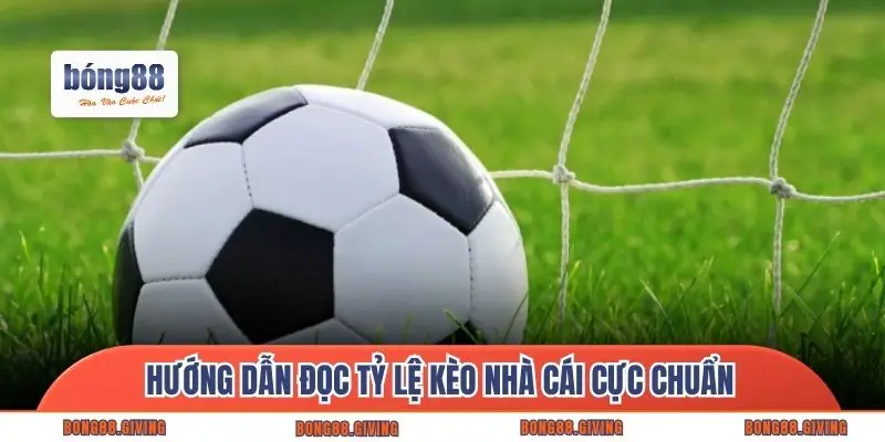 Hướng dẫn đọc tỷ lệ kèo nhà cái cực chuẩn