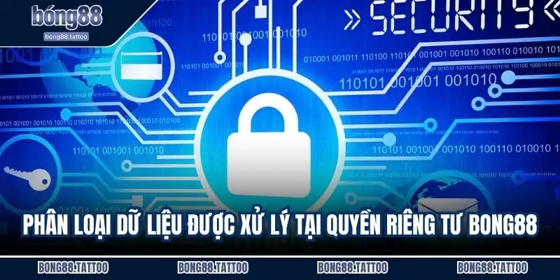 Phân loại dữ liệu được xử lý tại quyền riêng tư Bong88
