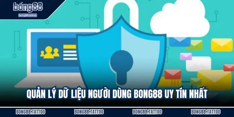 Quản lý dữ liệu người dùng Bong88 uy tín nhất